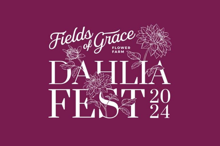 Dahlia fest at Fields of Grace Flower Farm