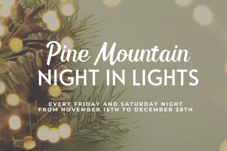 Every Friday & Saturday in December, stroll through the beautifully lit streets, explore charming shops, enjoy local vendors and artists, and sip on festive drinks. 