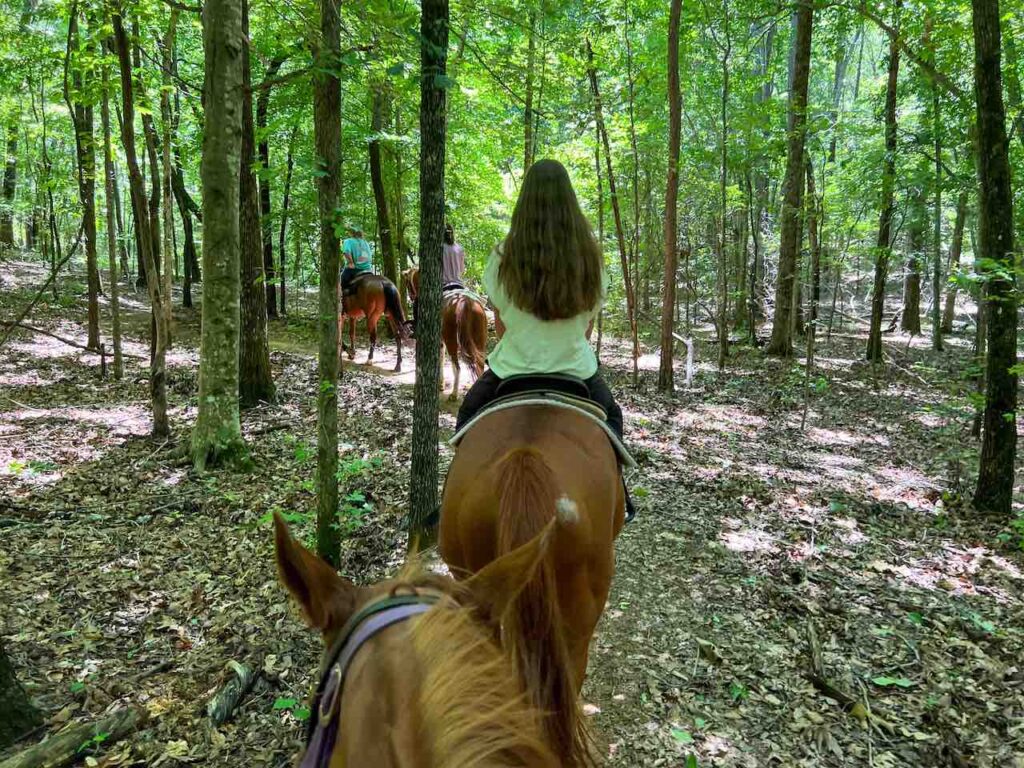 Ride-Left-Turn-Roosevelt-Stables-FDR-State-Park-Explore-Harris-County