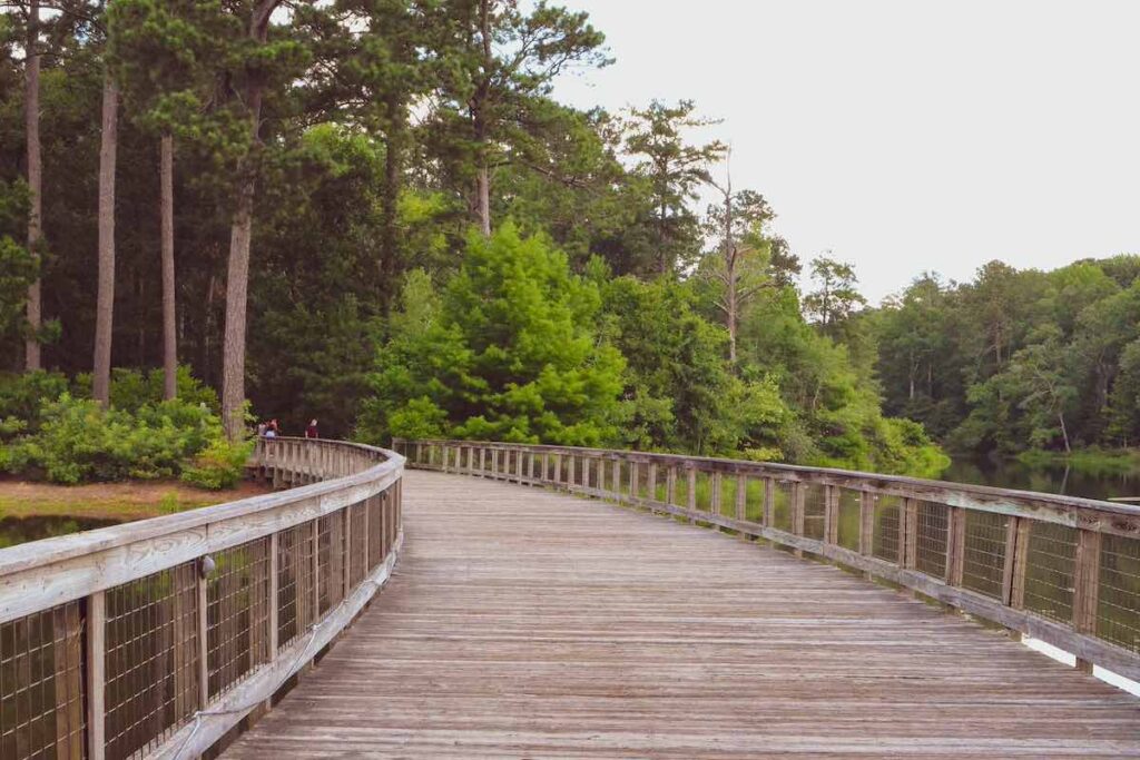 callaway-gardens-boardwalk-explore-harris-county