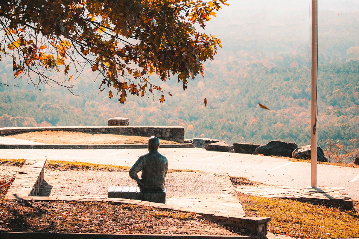 dowdells-knob-f-d-roosevelt-state-park-statue-explore-harris-county-georgia